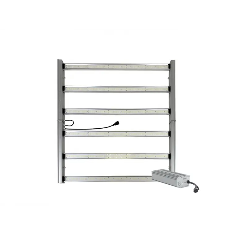 MASTER KING LED 720W