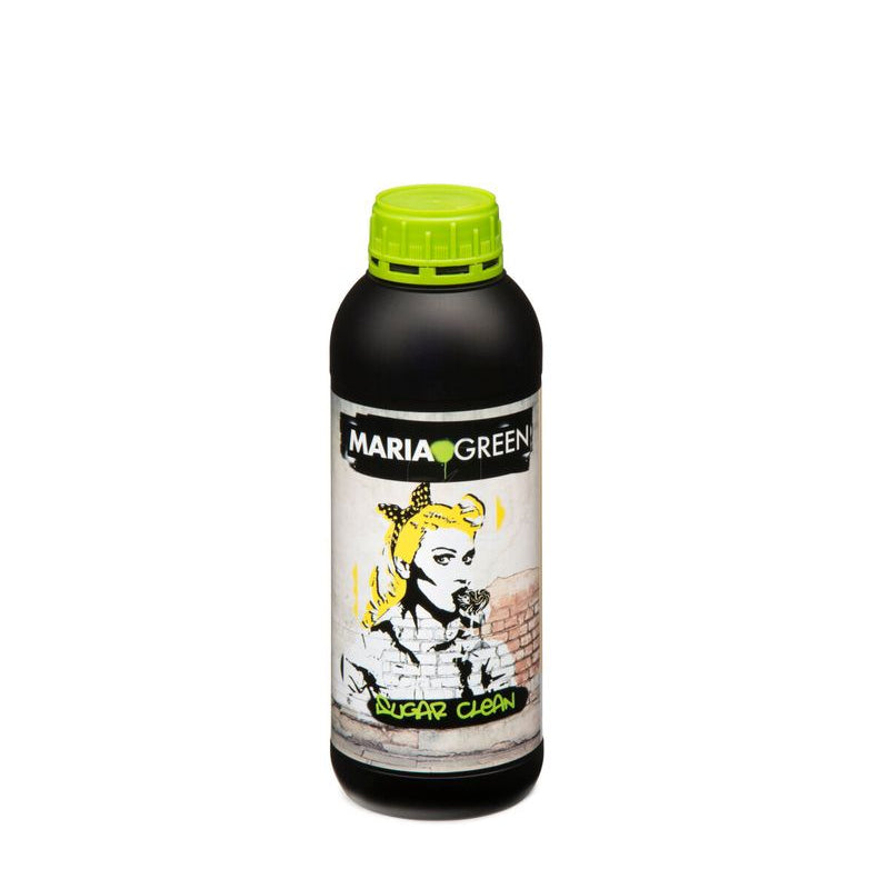 SUGAR CLEAN MARIA GREEN