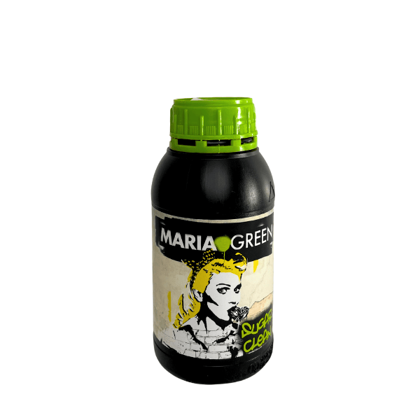 SUGAR CLEAN MARIA GREEN