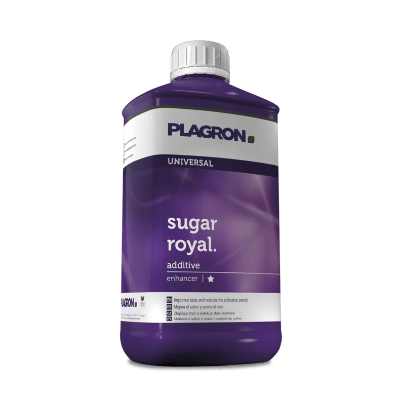 SUGAR ROYAL PLAGRON