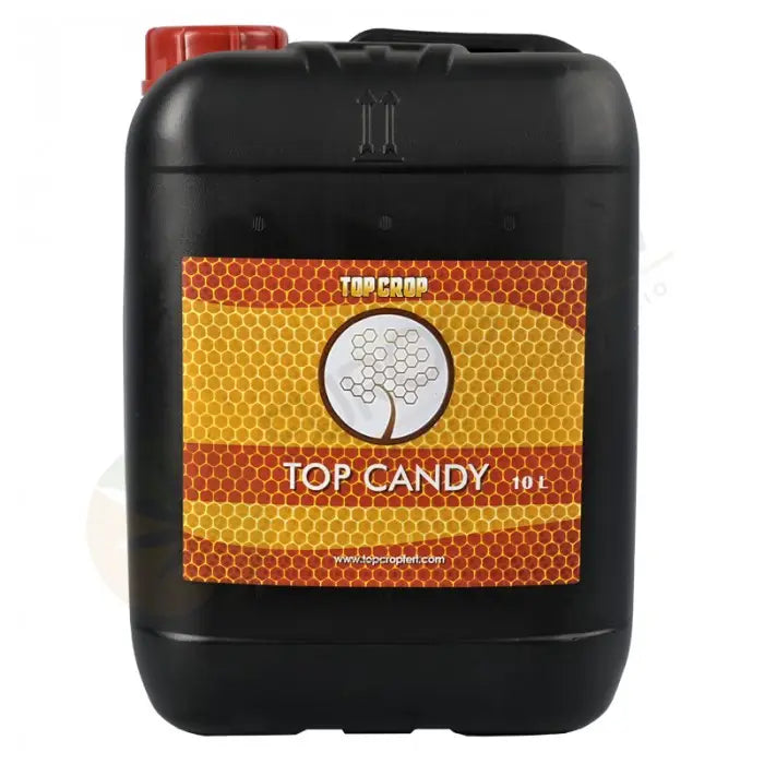 TOP CANDY TOP CROP