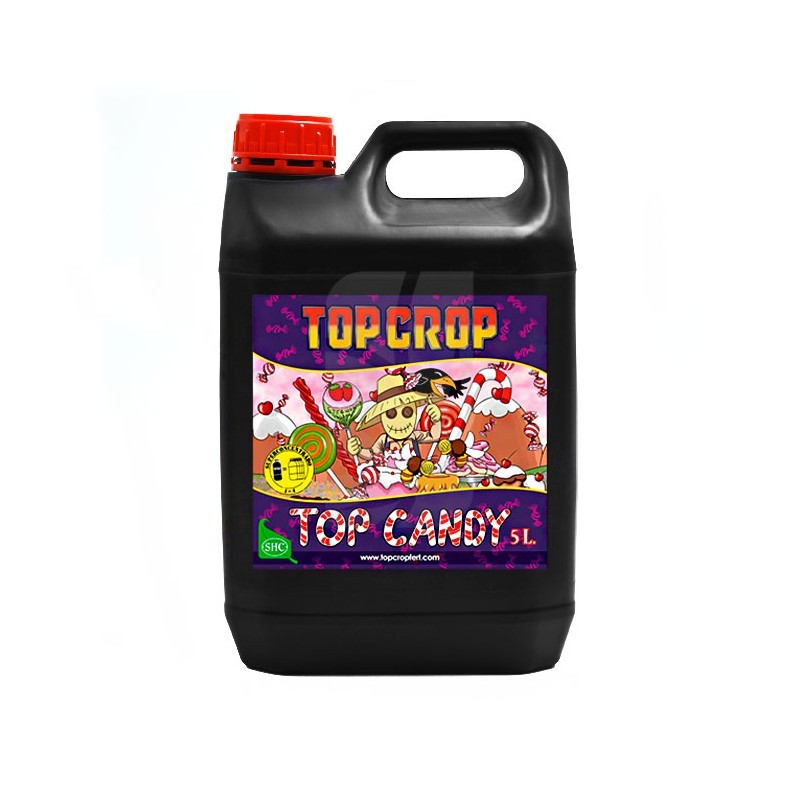 TOP CANDY TOP CROP