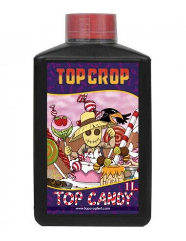 TOP CANDY TOP CROP