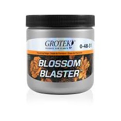 BLOSSOM BLASTER 130 GR