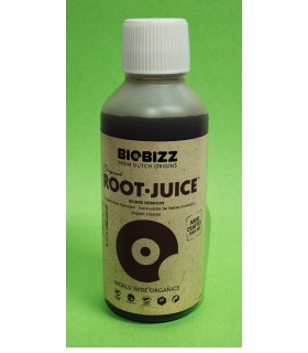 ROOT JUICE 250 ml