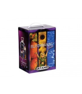 BLOOMBASTIC BOX