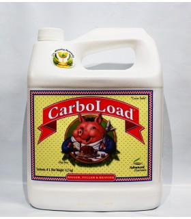CARBO LOAD 4L
