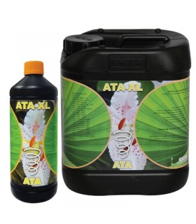 ATA-XL 1L