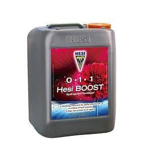 HESI BOOST 2.5L