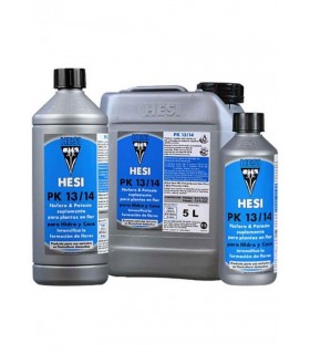 HESI PK 13-14