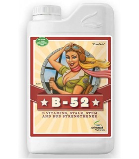 B 52 1L