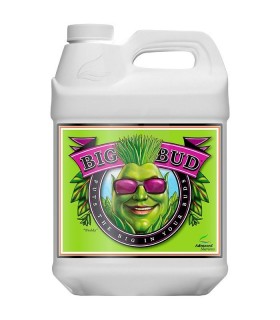 BIG BUD 10L
