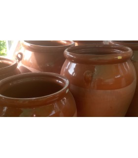 Plantas y arbolado