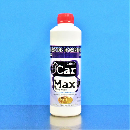 CAR MAX 1L ENZYME