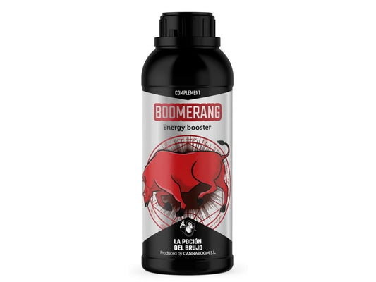CANNABOOM BRUJO BOOMERANG