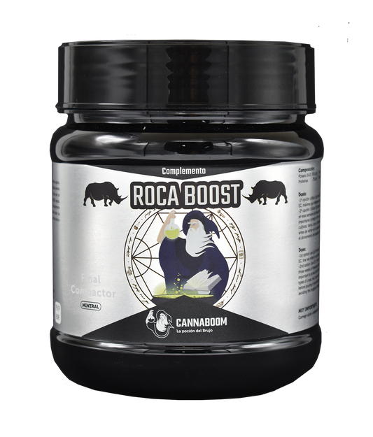 ROCA BOOST BRUJO