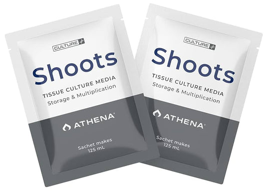 SHOOTS CULTURE ATHENA 125ML