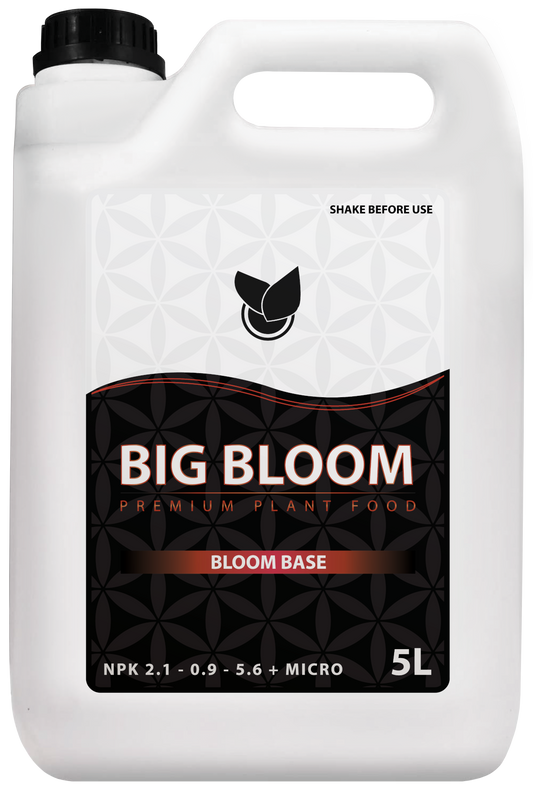 BIG BLOOM