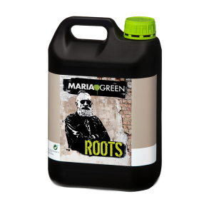 ROOTS MARIA GREEN