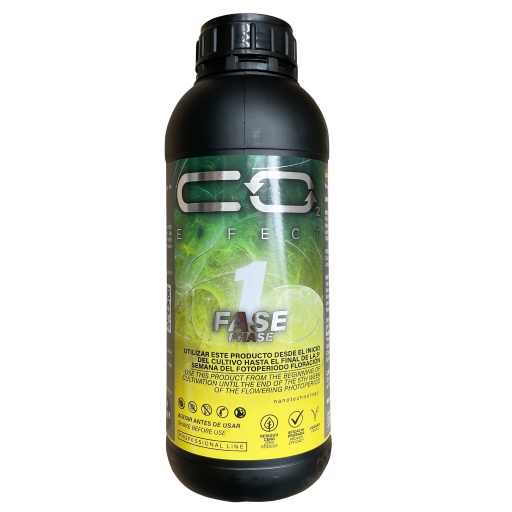 CO2 FASE 1