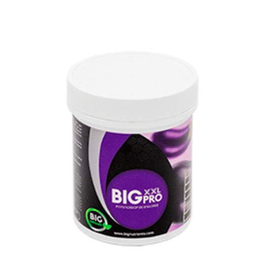 BIG XXL