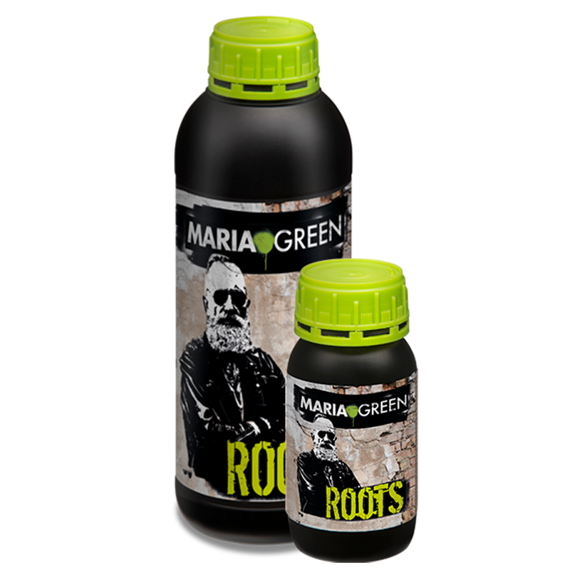 ROOTS MARIA GREEN
