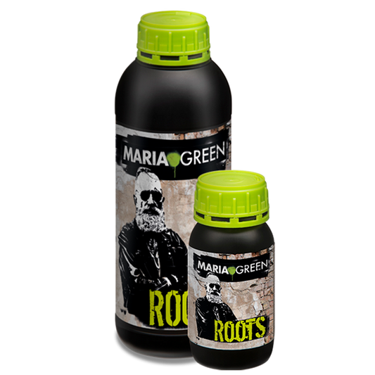 ROOTS MARIA GREEN