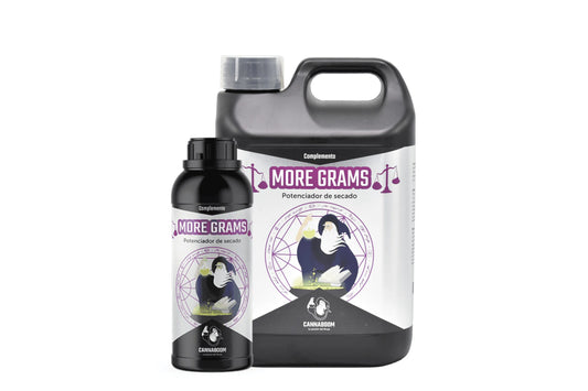 MORE GRAMS BRUJO