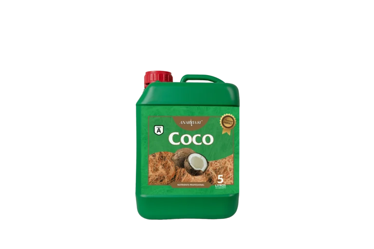 ANARKIA81 COCO A