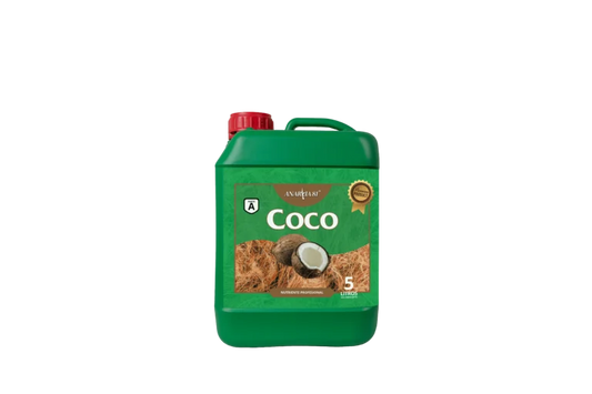 ANARKIA81 COCO A