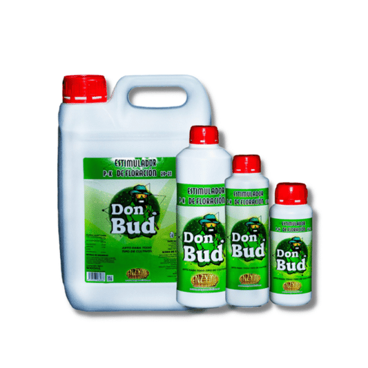 DON BUD P-K 500ML