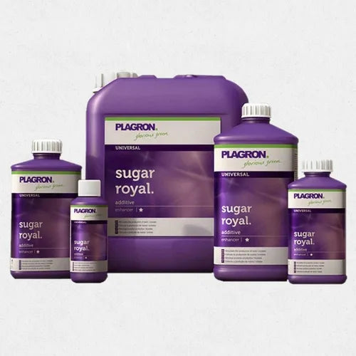 SUGAR ROYAL PLAGRON
