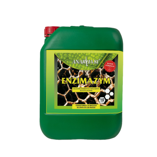 ANARKIA81 ENZIMAZYM