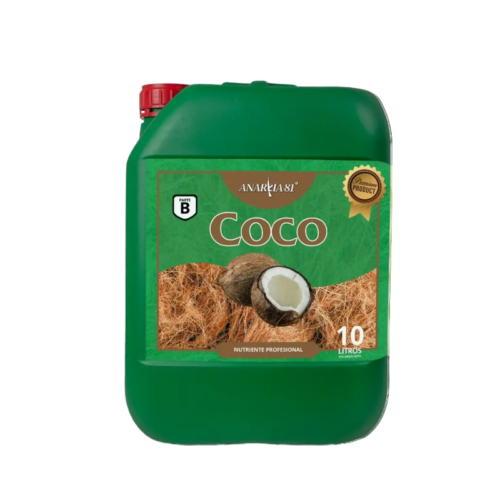 ANARKIA81 COCO B