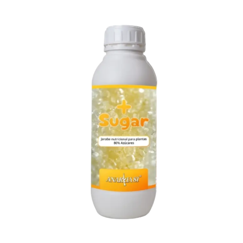 ANARKIA81 More Sugar