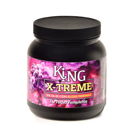 KING X-TREME TRABE