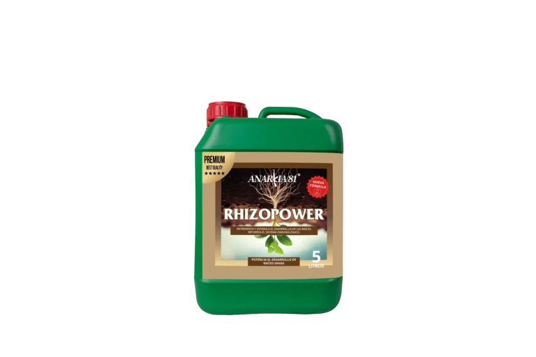 ANARKIA81 RHIZOPOWER