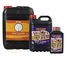 TOP CANDY TOP CROP