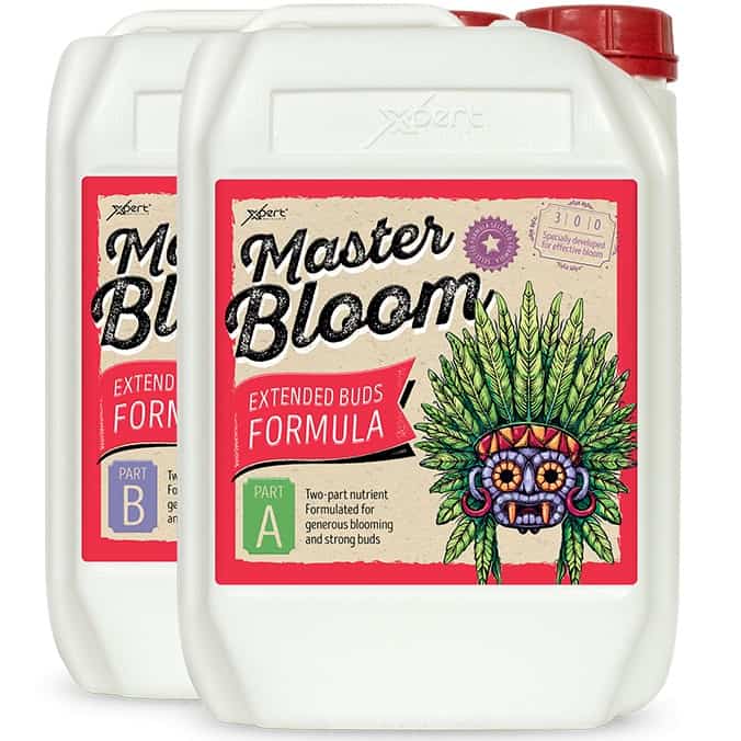 XPERT MASTER BLOOM A+B
