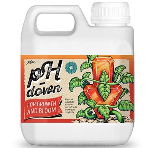XPERT PH DOWN 1L