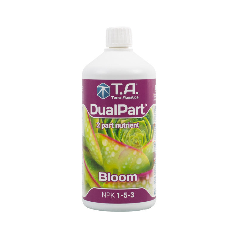 GHE/TA DUALPART BLOOM