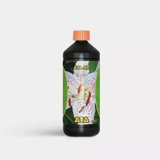 ATA XL