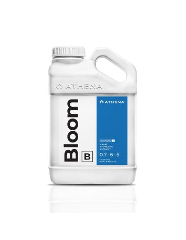 BLOOM B ATHENA