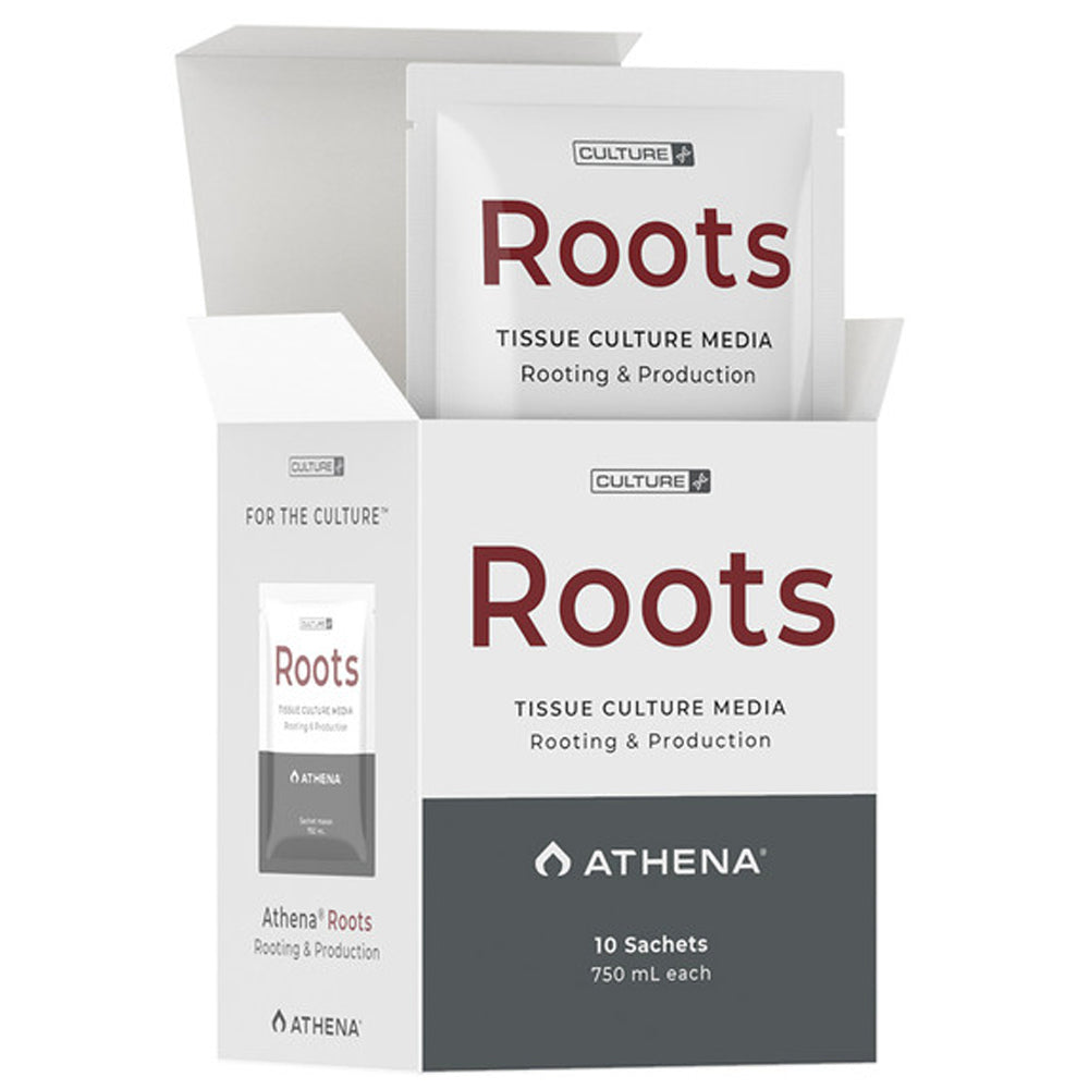 ROOTS CULTURE ATHENA