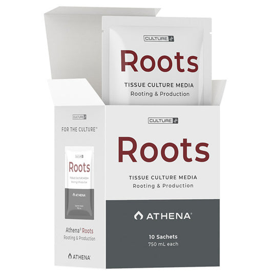 ROOTS CULTURE ATHENA