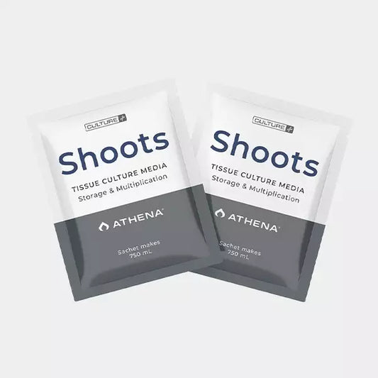 Athena Shoots Culture Media