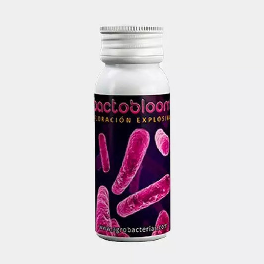 Bactobloom Floración