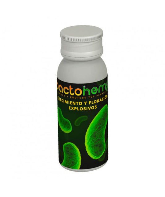 BACTOHEMP