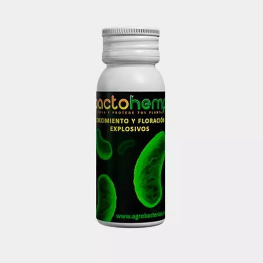 Bactohemp crecimiento