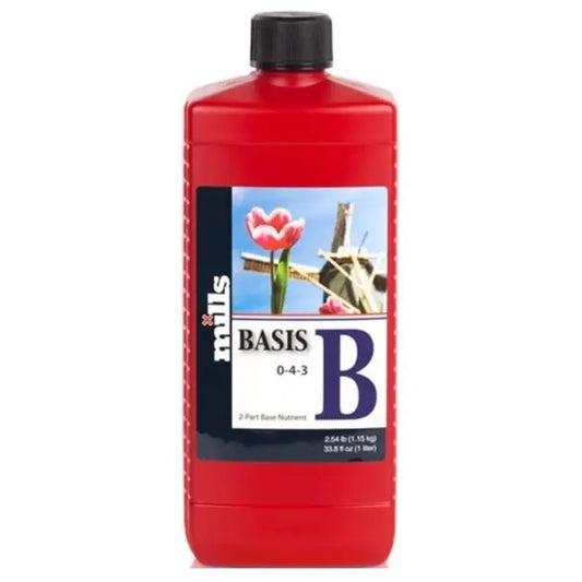 BASIS B
